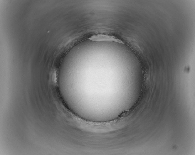 X0000093470042200710261053