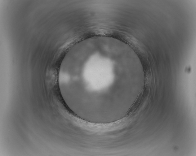 X0000093470043200710261053