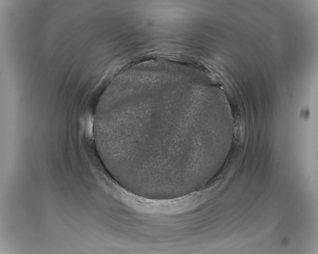 X0000093470046200710261053