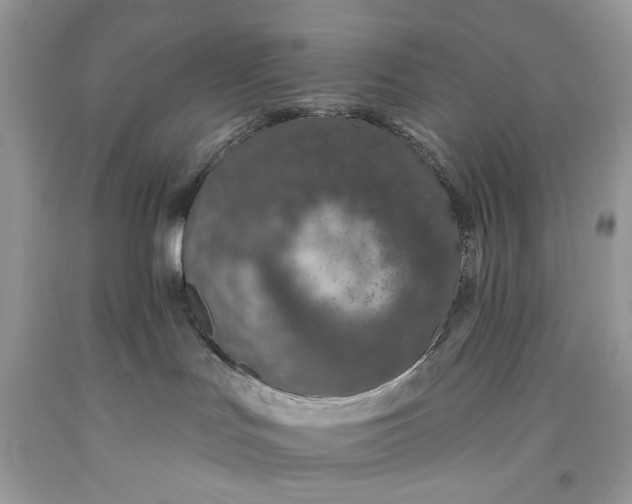 X0000093470047200710261053