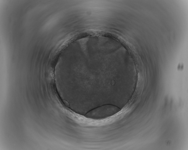 X0000093470048200710261053