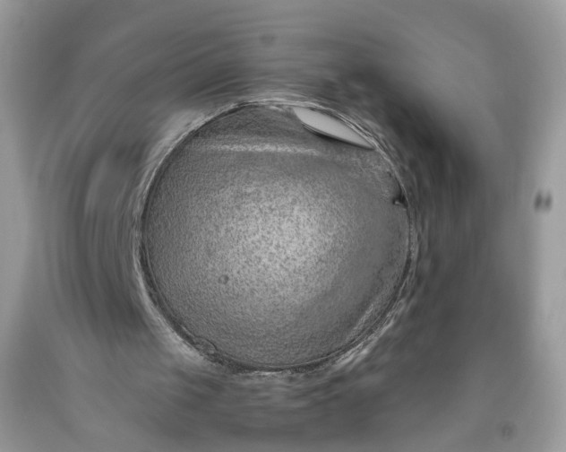 X0000093470049200710261052