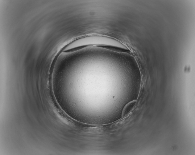 X0000093470050200710261052