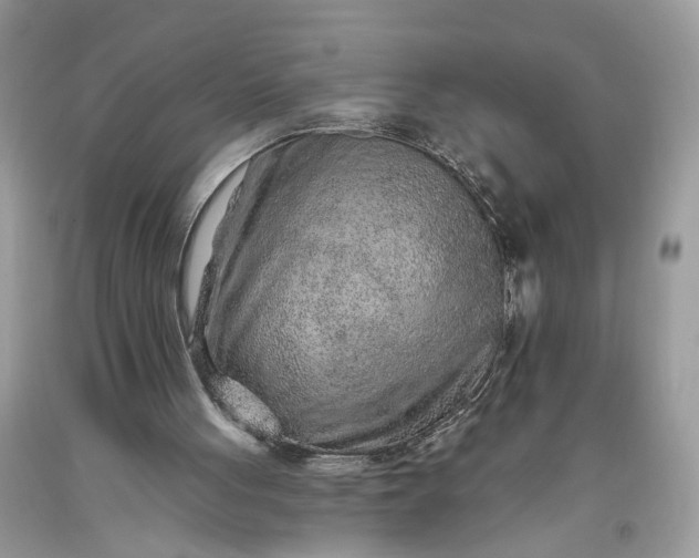 X0000093470051200710261052