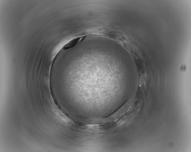 X0000093470052200710261052