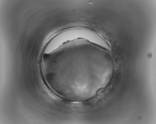 X0000093470053200710261052