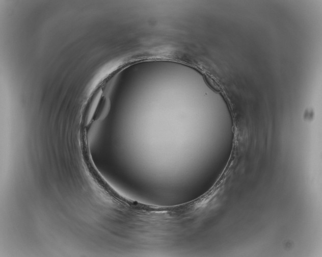 X0000093470054200710261052