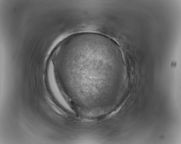 X0000093470056200710261052