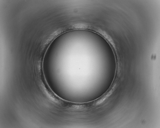 X0000093470057200710261052