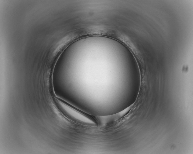 X0000093470058200710261052