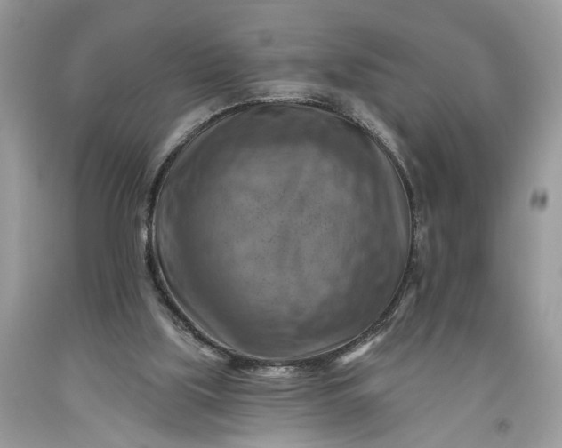 X0000093470059200710261052