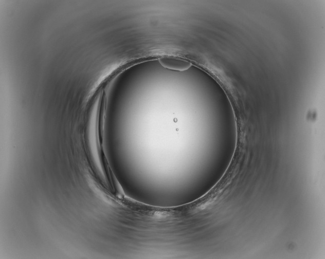 X0000093470060200710261052