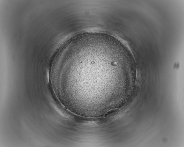 X0000093470061200710261052