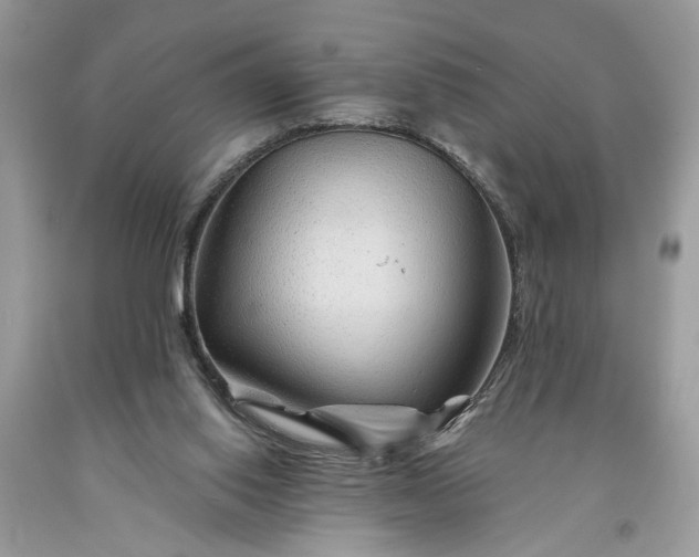 X0000093470062200710261052