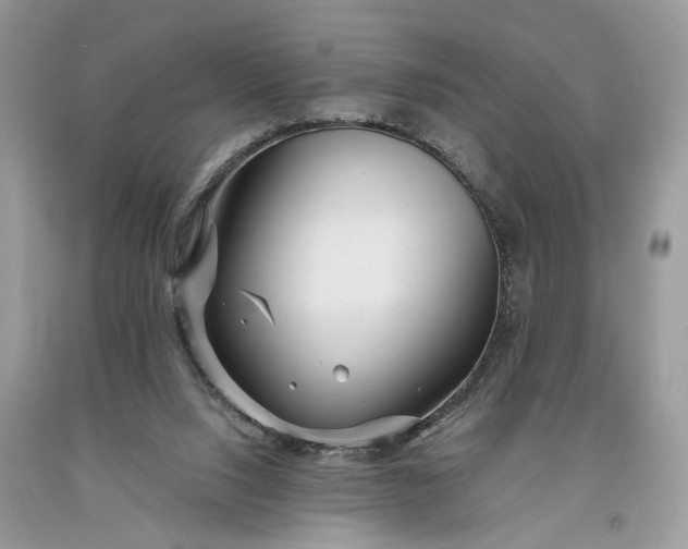 X0000093470064200710261052