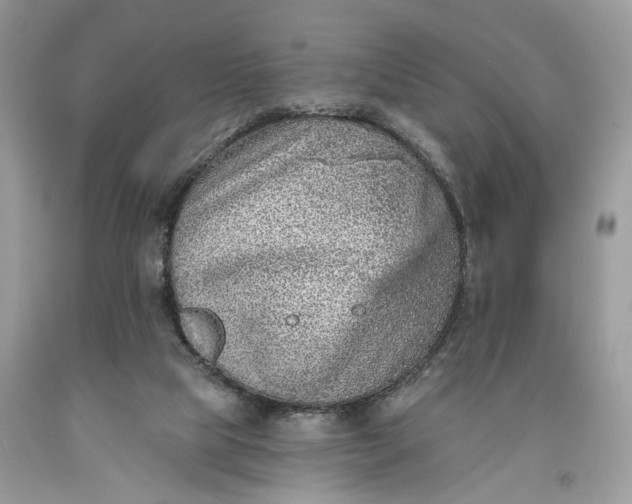 X0000093470065200710261052