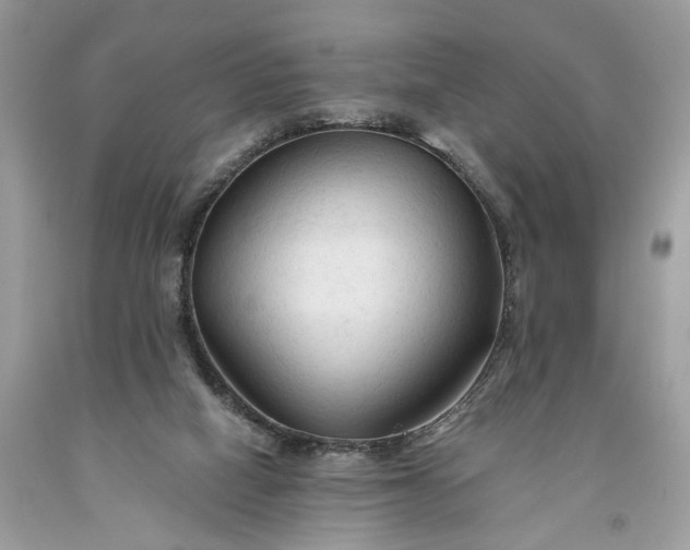 X0000093470066200710261052