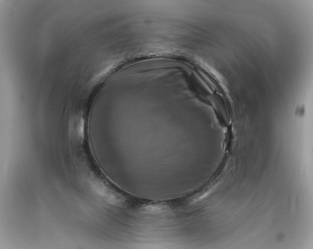 X0000093470067200710261052