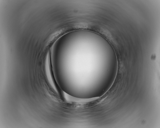 X0000093470068200710261052