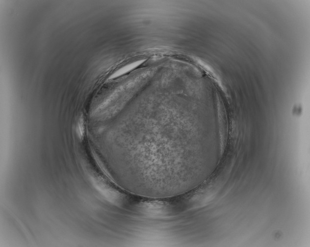 X0000093470069200710261052