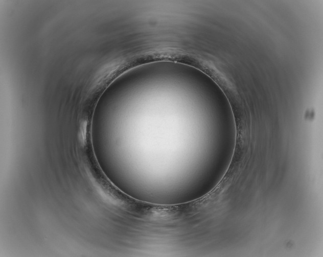 X0000093470070200710261052