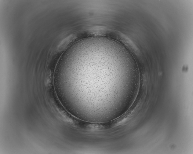 X0000093470073200710261052