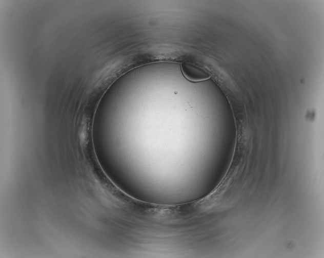 X0000093470074200710261052