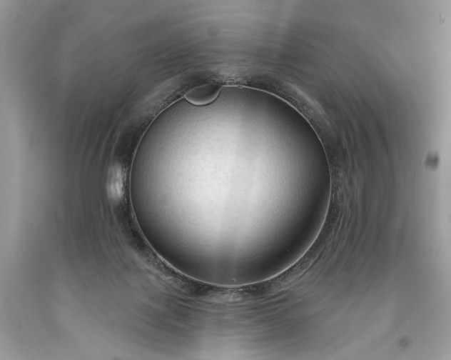 X0000093470075200710261052