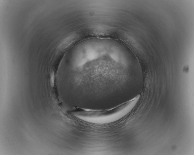 X0000093470076200710261052