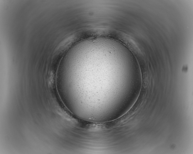 X0000093470077200710261052