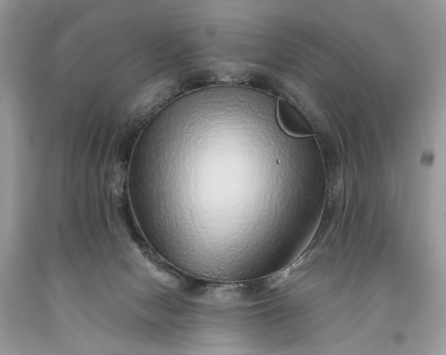 X0000093470078200710261052