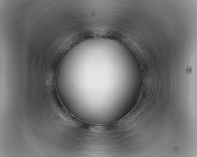 X0000093470079200710261052