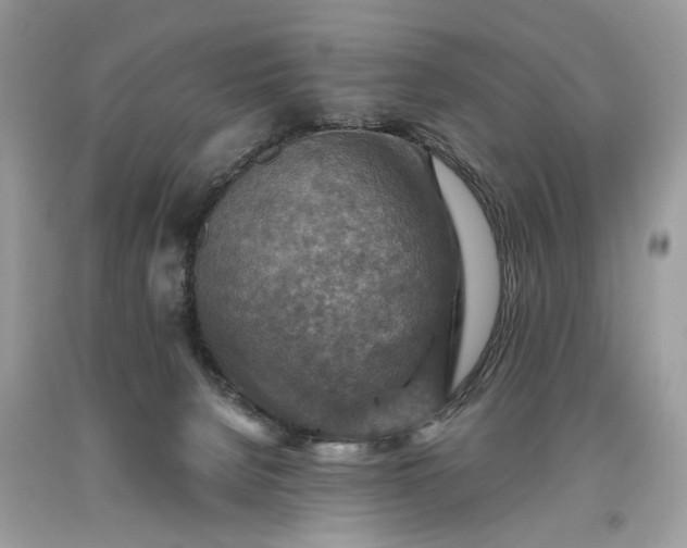 X0000093470080200710261052