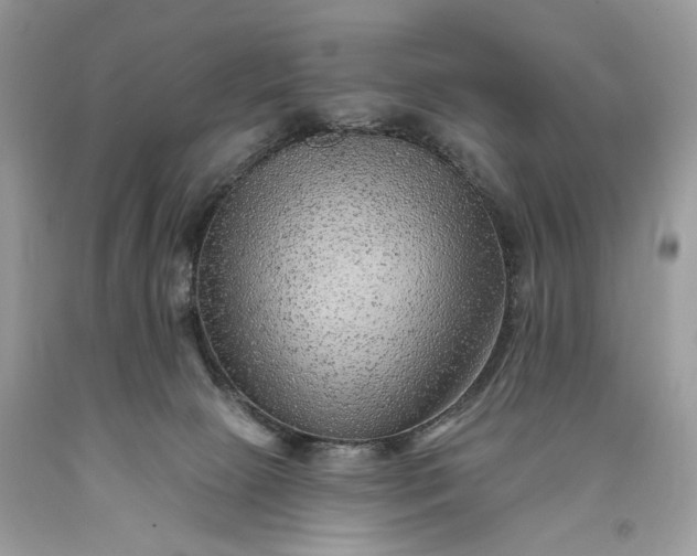 X0000093470081200710261052