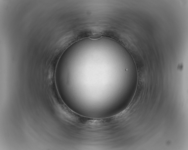 X0000093470082200710261052