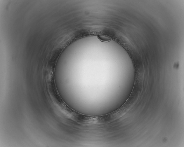 X0000093470083200710261052