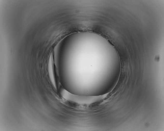 X0000093470084200710261052