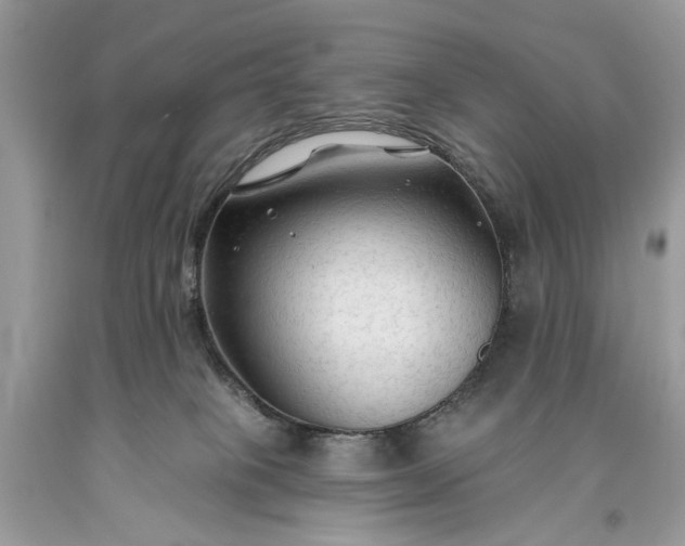 X0000093470085200710261052