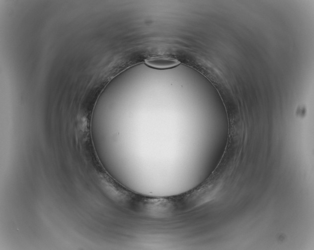 X0000093470087200710261052