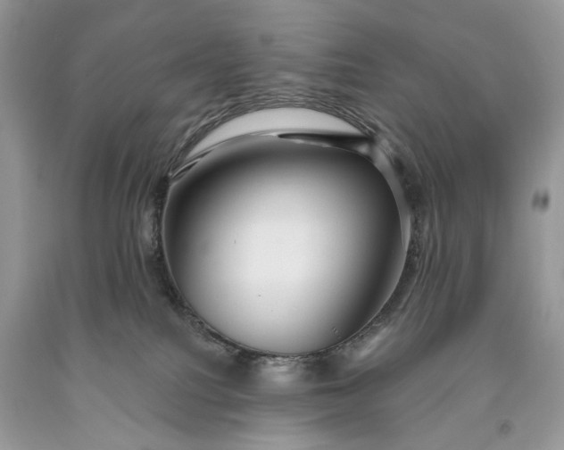 X0000093470088200710261052