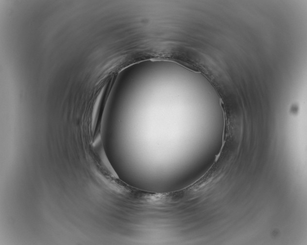 X0000093470092200710261052