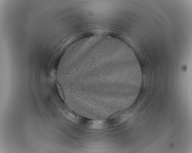 X0000093470093200710261052