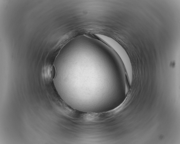 X0000093470094200710261052