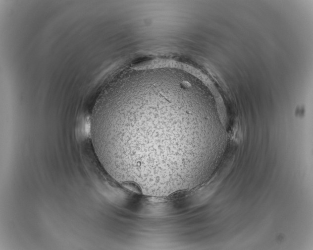 X0000093470095200710261052