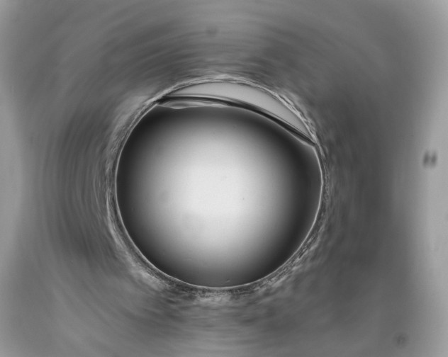 X0000093470097200710261052