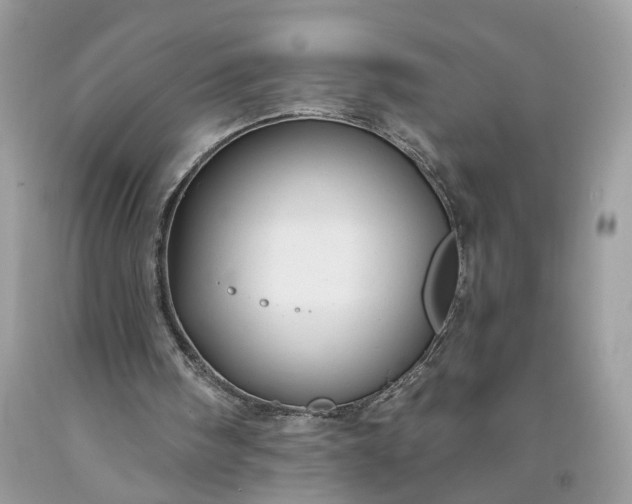 X0000093470098200710261052