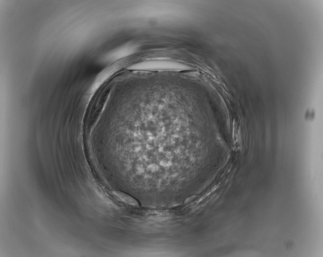 X0000093470099200710261052