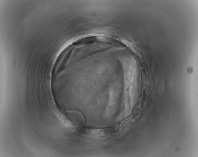 X0000093470100200710261052