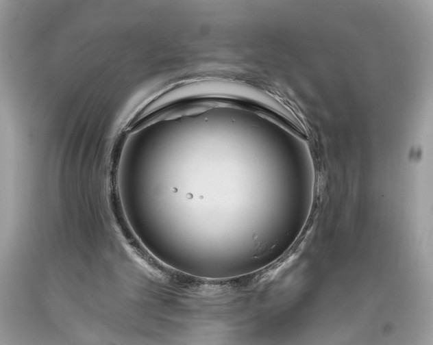 X0000093470101200710261052