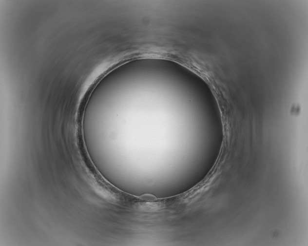 X0000093470102200710261052